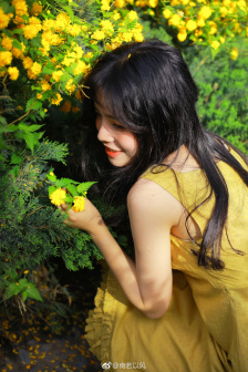 谁杀了潘巾莲